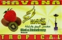 Tabk Kiwi a Jahoda TROPICAL Havana 50g