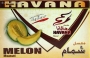 Tabk Meloun sladk (Sweet Melon) Havana 50g